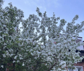 коттедж 273 кв м ул Намжилова, 21